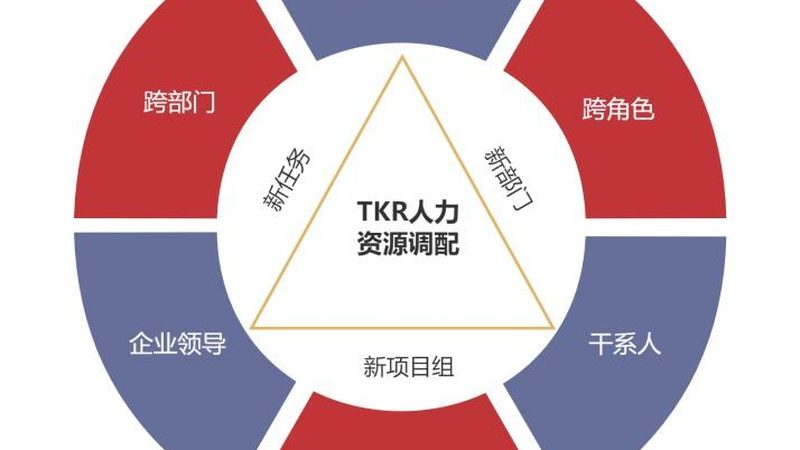 劳务定制服务：批发市场新趋势下的用工优化之道**
